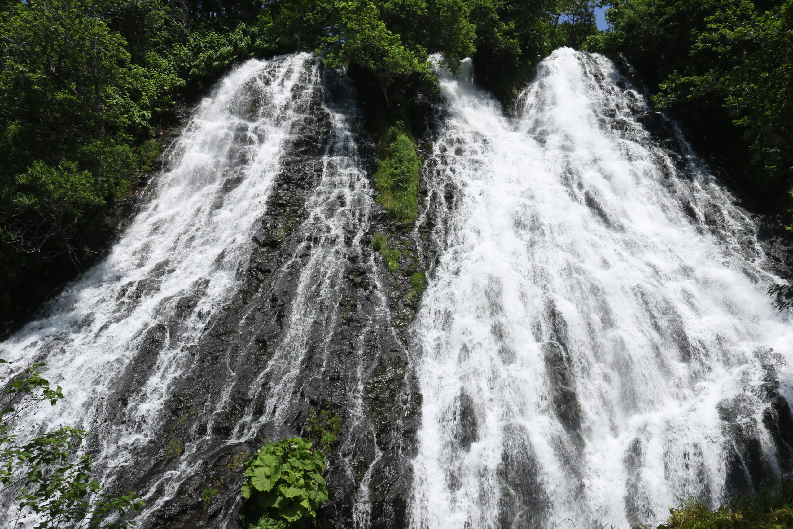 A quiet landscape in Japan, capturing a peaceful moment.